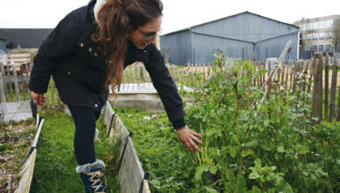 ville-jardin.jpg ville-jardin.jpg