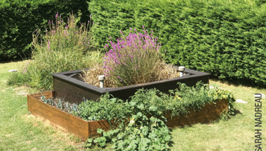 67-PHYTOEPURATION.png 67-PHYTOEPURATION.png