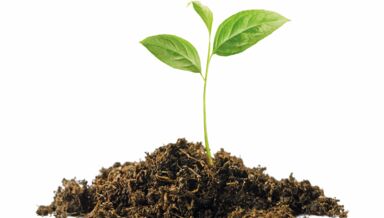 shutterstock_2264345699 shutterstock_2264345699