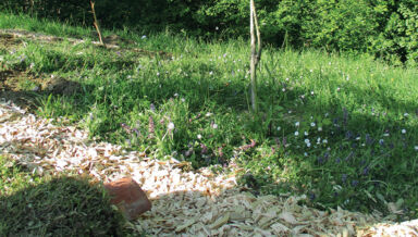 66-EXTERIEUR-BROYAT-DE-BOIS.jpg 66-EXTERIEUR-BROYAT-DE-BOIS.jpg