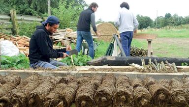 56-CAH-PRATIQUE.jpg 56-CAH-PRATIQUE.jpg