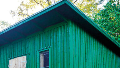 goudrob-de-bois_Ttjarfarg goudrob-de-bois_Ttjarfarg