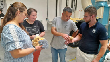 TERRITOIRE-VisiteCeti TERRITOIRE-VisiteCeti