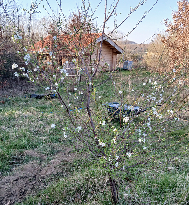 44- suzanne aberle 44- suzanne aberle