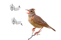 AdobeStock_48904550_2 copie AdobeStock_48904550_2 copie