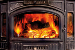 avis_d-expert_149_shutterstock_2587931473 avis_d-expert_149_shutterstock_2587931473