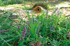 IMG_1071-Pierre et Terre IMG_1071-Pierre et Terre