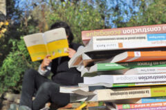 LIREDSC_8145 LIREDSC_8145