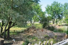 2 Le dépôt de déchets ménagers libre à chacun.e pour pailler ses plantations ou mettre en couche sèche dans le compost ©CELINE CAMMARATA 2 Le dépôt de déchets ménagers libre à chacun.e pour pailler ses plantations ou mettre en couche sèche dans le compost ©CELINE CAMMARATA