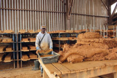 Compagnon Emmaüs, Bakary a appris à réaliser des mélanges de terre et des adobes en terre crue. De la terre crue pour bâtir solidaire terre et des adobes en terre crue
