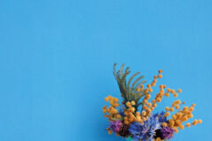 fromage_blanc_DSC_3138 fromage_blanc_DSC_3138