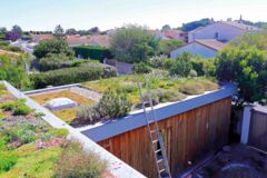 DOSSIER_toiture_semi-extensive-Atelier-du-vegetal DOSSIER_toiture_semi-extensive-Atelier-du-vegetal