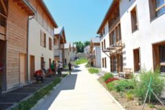 Habitat-groupe-155_Allée principale 2 Habitat-groupe-155_Allée principale 2