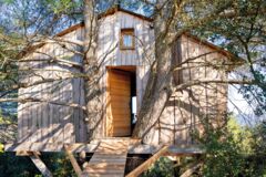 11557_ANT5581 11557_ANT5581