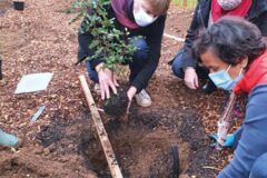 10 Stéphane Jouault lors de la plantation des vergers 10 Stéphane Jouault lors de la plantation des vergers