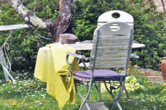 Alternative au Gazon © Serge Lapouge_ Alternative au Gazon © Serge Lapouge_