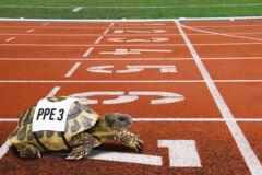 billet_taniadimas-match-2405991 montage