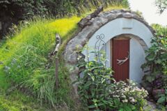 cave naturelle 11f cave naturelle 11f