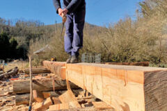 140 AVIS D-EXPERTS BUCHERON2 140 AVIS D-EXPERTS BUCHERON2