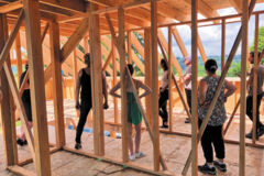 TERRITOIRE_IMG_687 TERRITOIRE_IMG_687