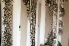 Phase_chantier_hs21_2015_vincent dubos Phase_chantier_hs21_2015_vincent dubos