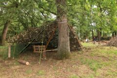 chantier en famille Cabane perche et feuillage - crédit vitacolo chantier en famille Cabane perche et feuillage - crédit vitacolo