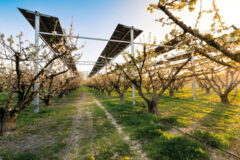 avis_d-experts_Installation Loriol sur Drôme, exploitation Clair Fruits-Sun_Agri avis_d-experts_Installation Loriol sur Drôme, exploitation Clair Fruits-Sun_Agri