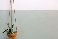 caseine_résultat final5 caseine_résultat final5