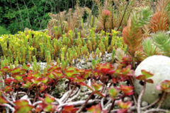 147-EXTERIEUR-6 147-EXTERIEUR-6