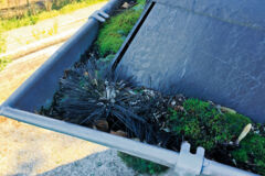 DIAGNOSTIC-HS21_IMG_3801_Defaut_entretien_cheneau