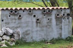 alveoles_a_moineaux©jean-françois noblet alveoles_a_moineaux©jean-françois noblet