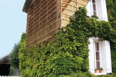 Crédit CNCP_maison-feuillette-structure©CNCP