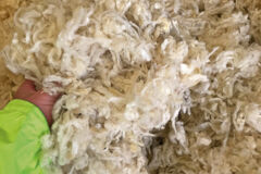 laine de mouton Ouate Bigbag PNR de Lorraine