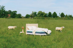 mobilier ecolo Tediber - pelote mobilier ecolo Tediber - pelote