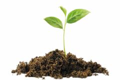 shutterstock_2264345699 shutterstock_2264345699