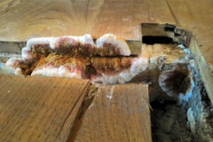 Degats_HS21_merule-Pierrick-Chevillotte