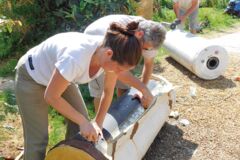 Deshabillage cumulus Deshabillage cumulus