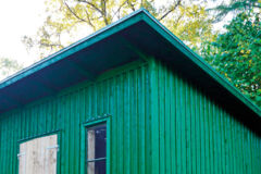 goudrob-de-bois_Ttjarfarg goudrob-de-bois_Ttjarfarg