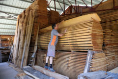 alternatives_149_c-I.Soto11 alternatives_149_c-I.Soto11