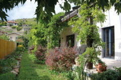 RENOVER_terasse-sud-glycine